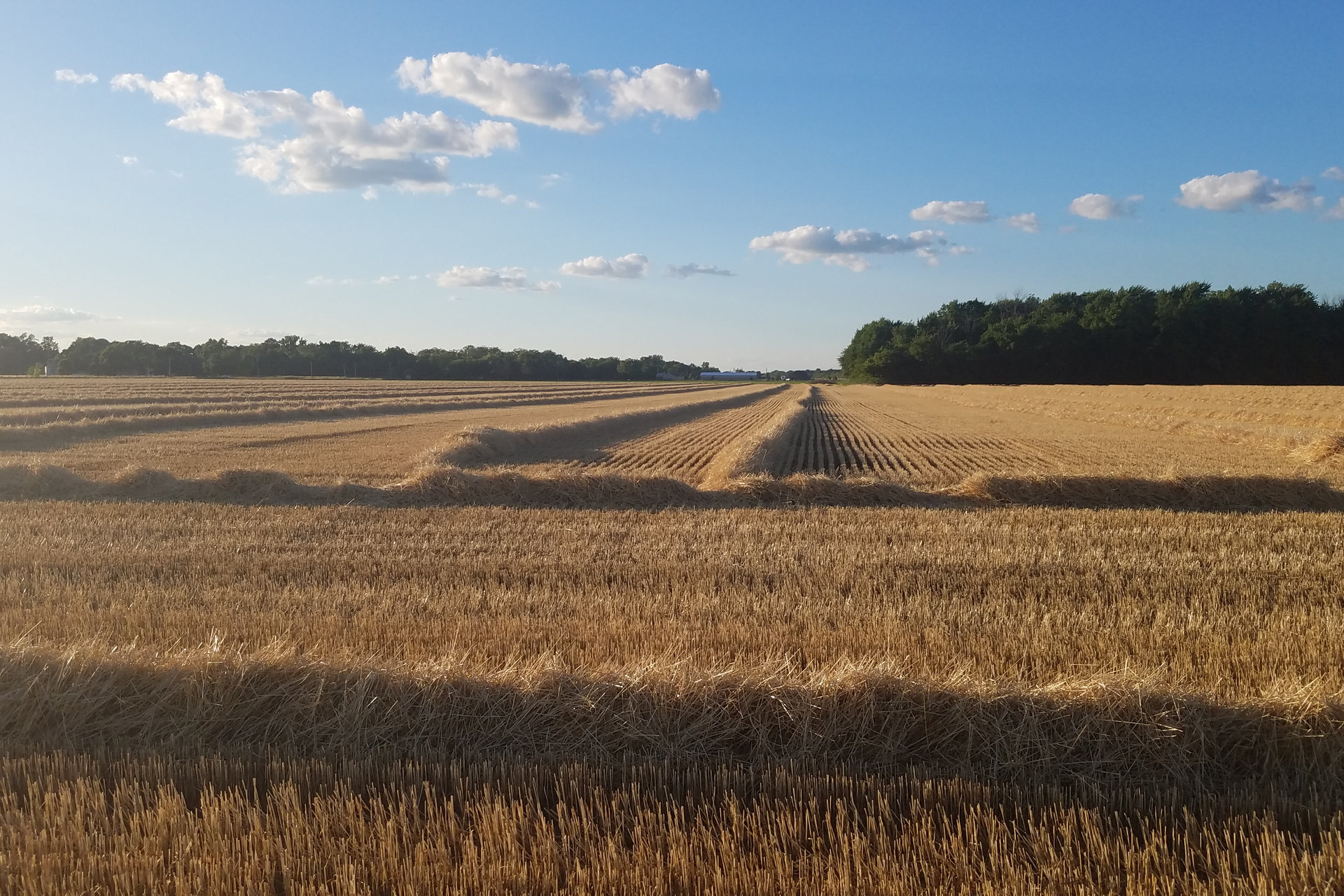 Plymouth, IN → Butler, IN → Gibsonburg, OH → Westlake, OH → Conneaut, OH